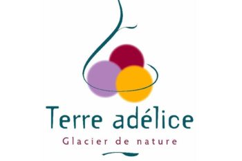 COPAS ASCENSEURS TERRE ADELICE LOGO